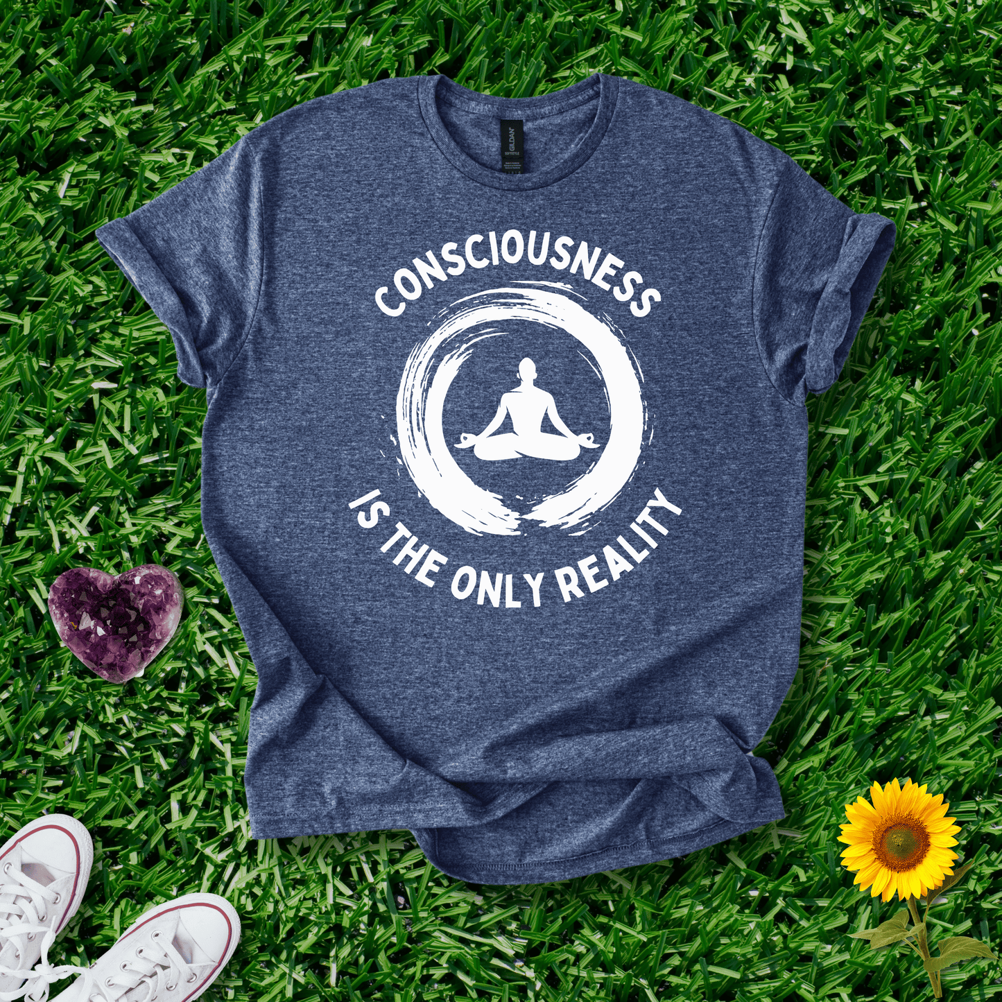 Consciousness is the Only Reality