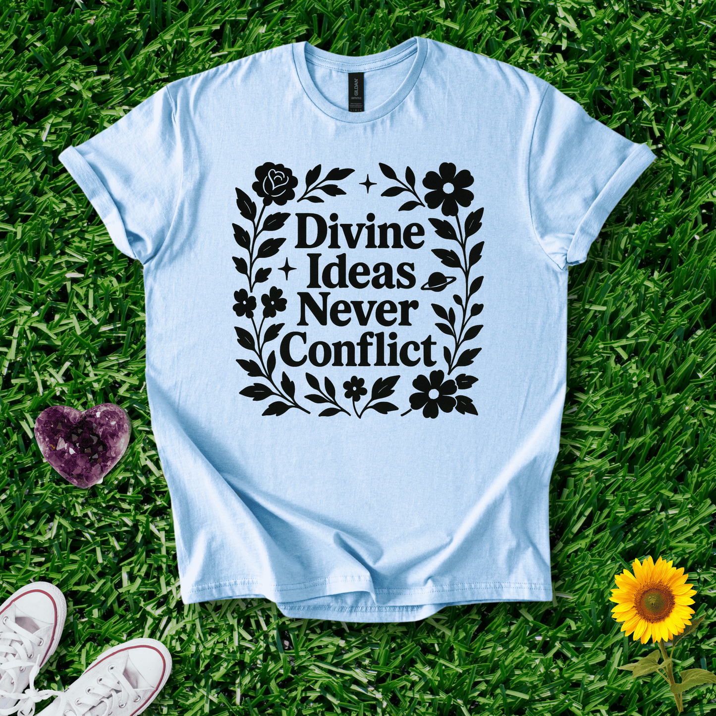 Divine Ideas Never Conflict