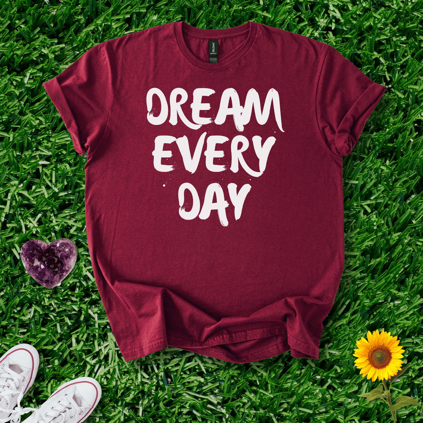 Dream Every Day