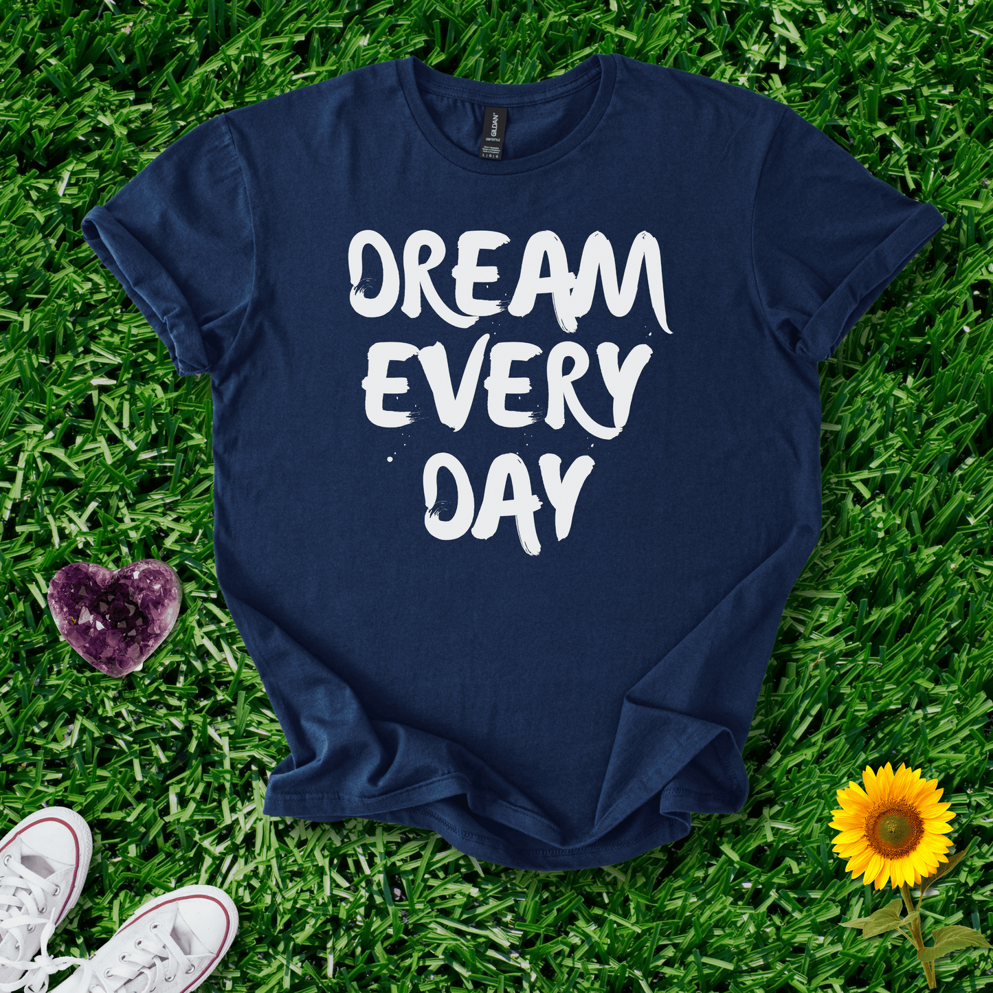 Dream Every Day