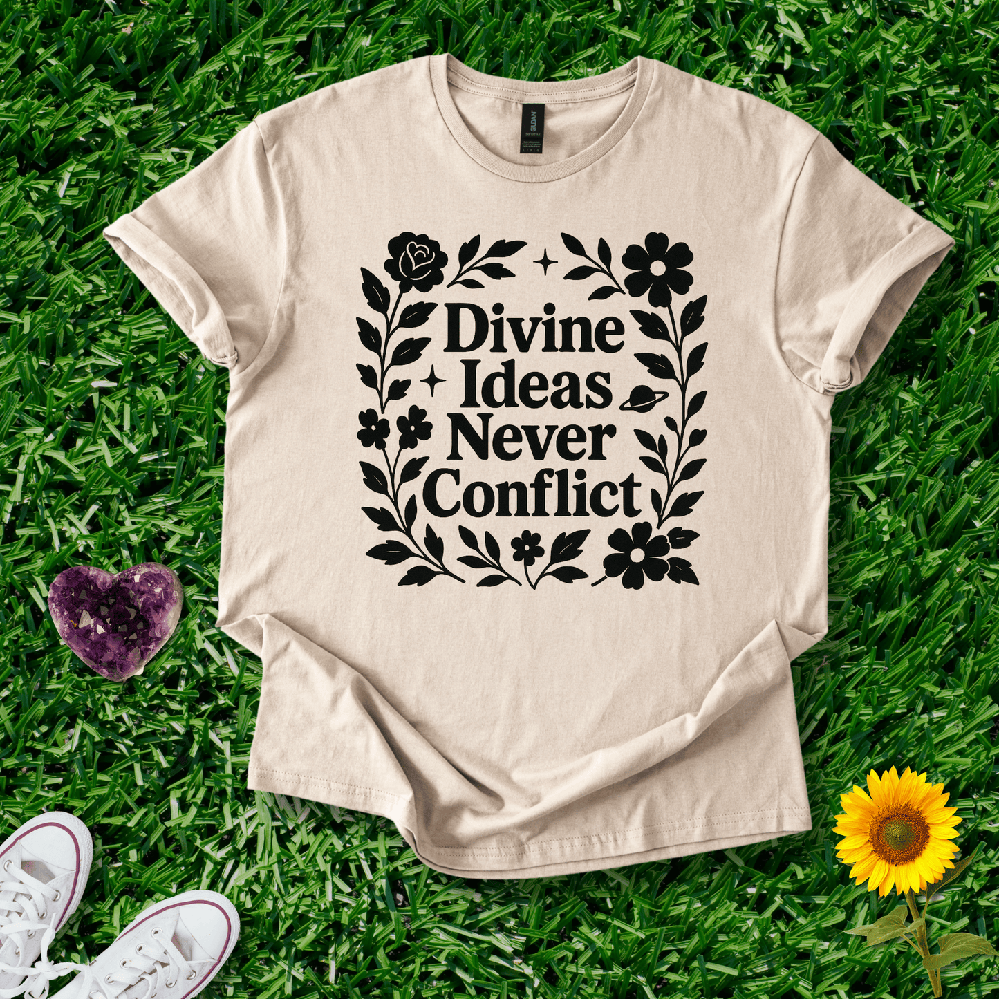Divine Ideas Never Conflict