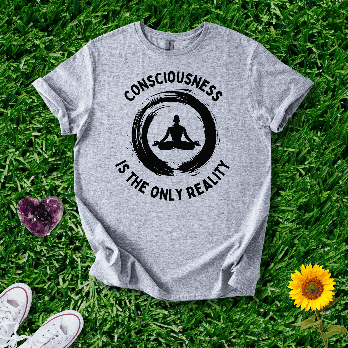 Consciousness is the Only Reality