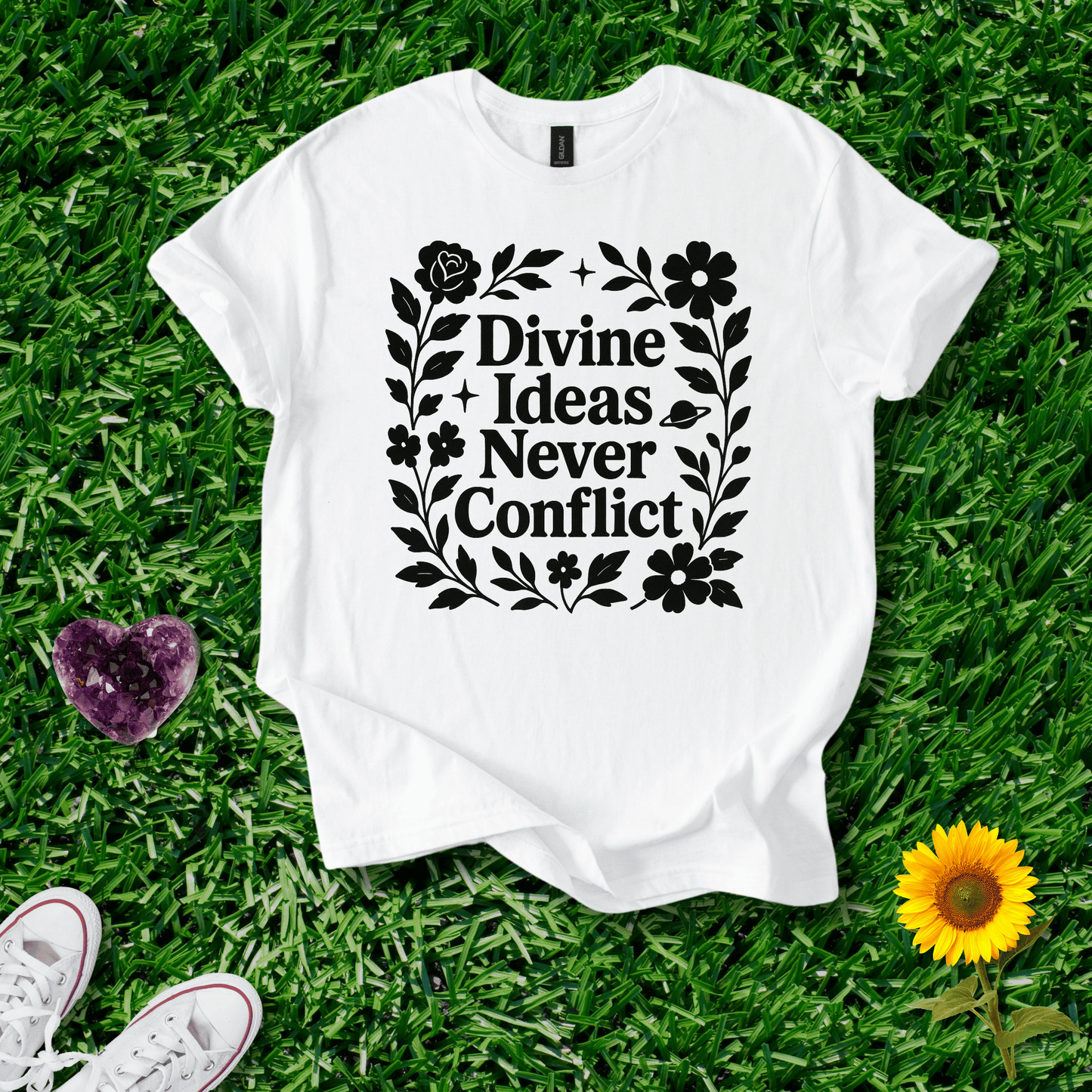 Divine Ideas Never Conflict
