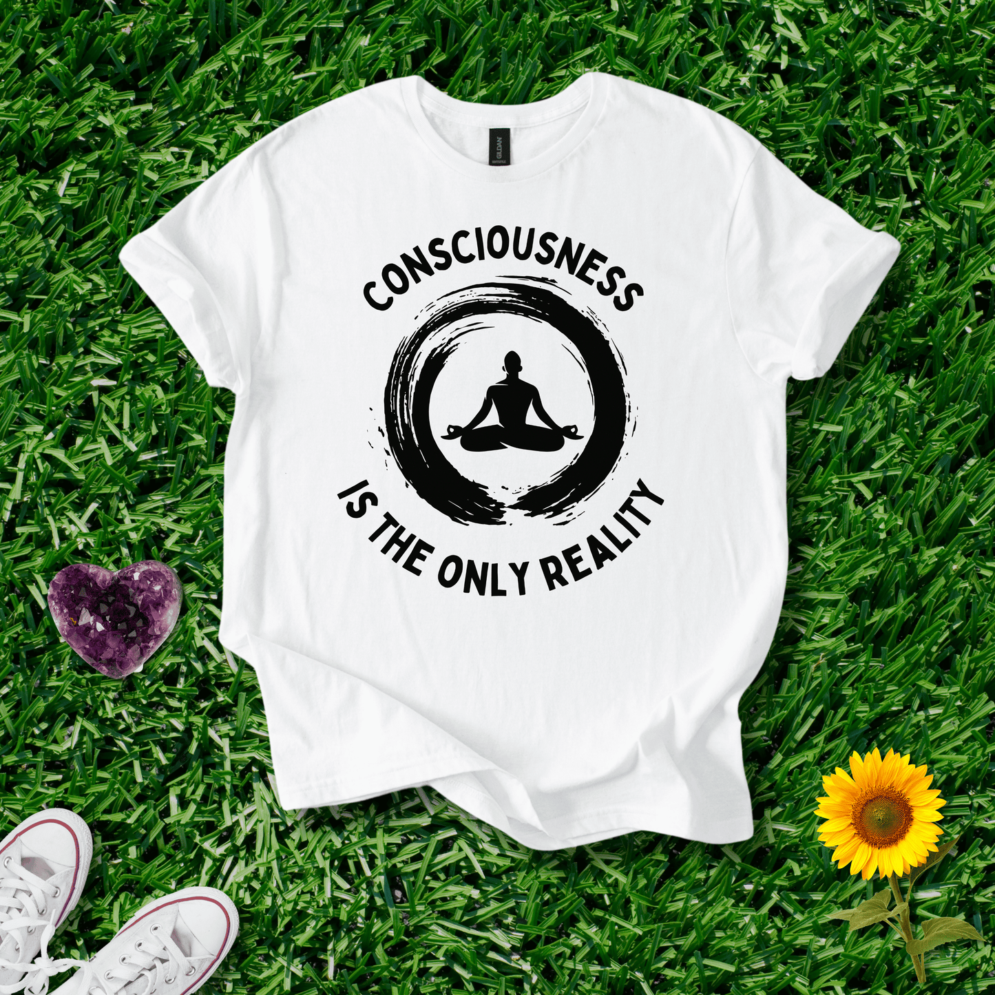 Consciousness is the Only Reality