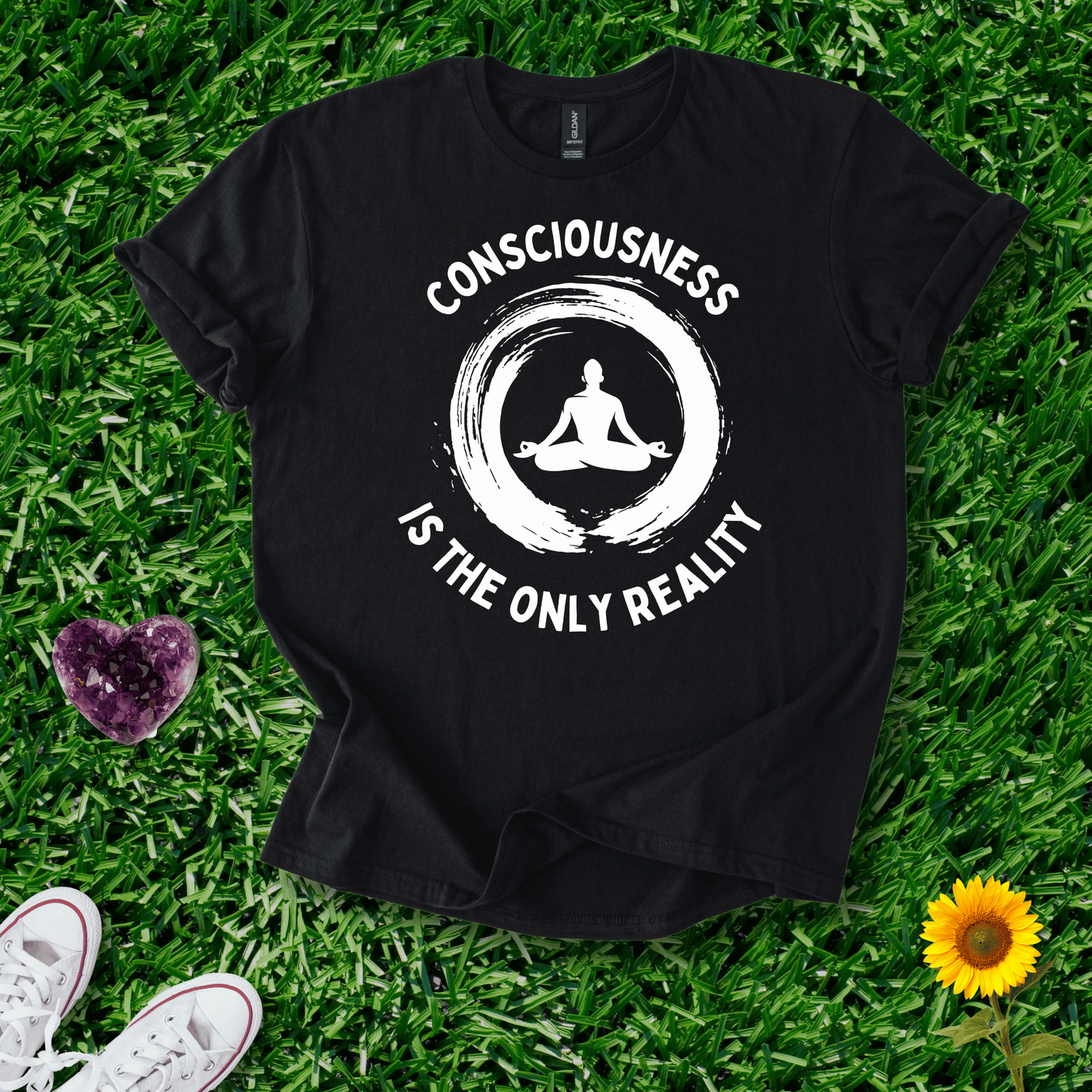 Consciousness is the Only Reality