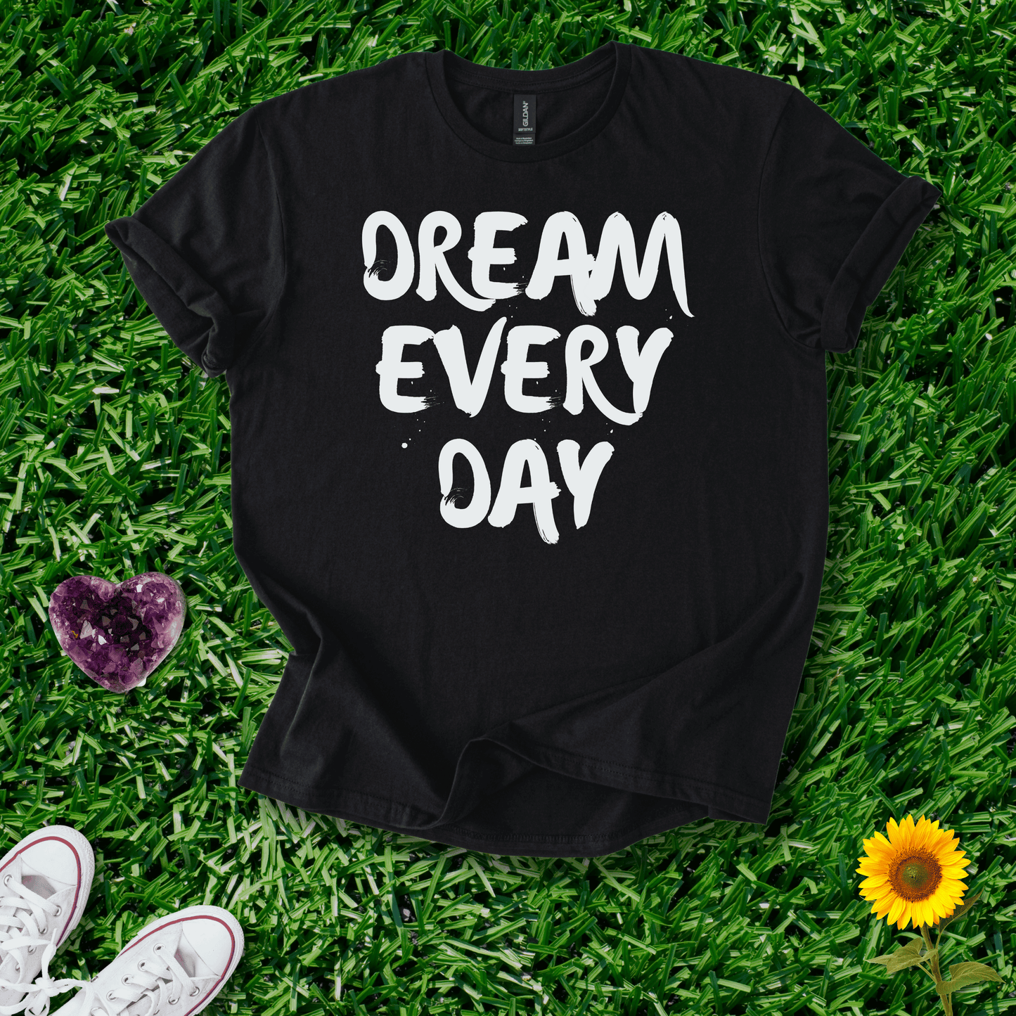 Dream Every Day
