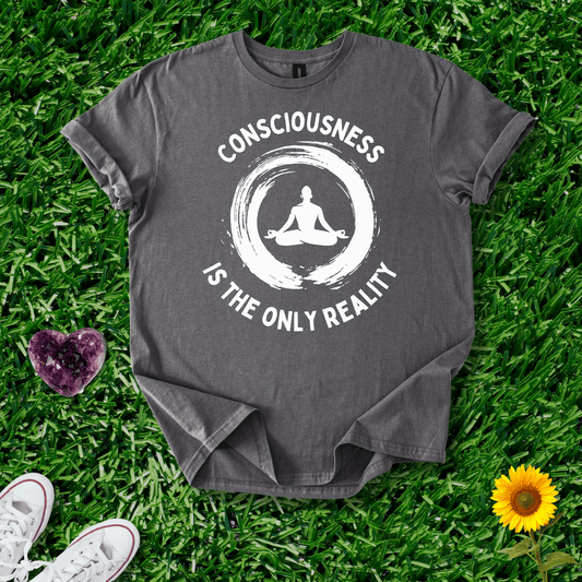 Consciousness is the Only Reality