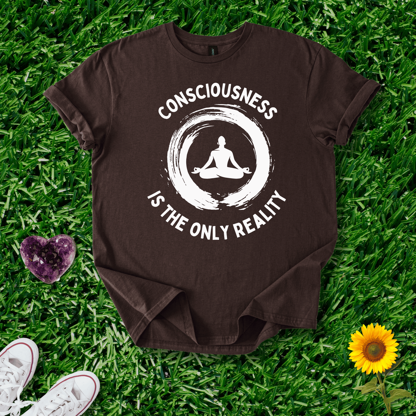 Consciousness is the Only Reality