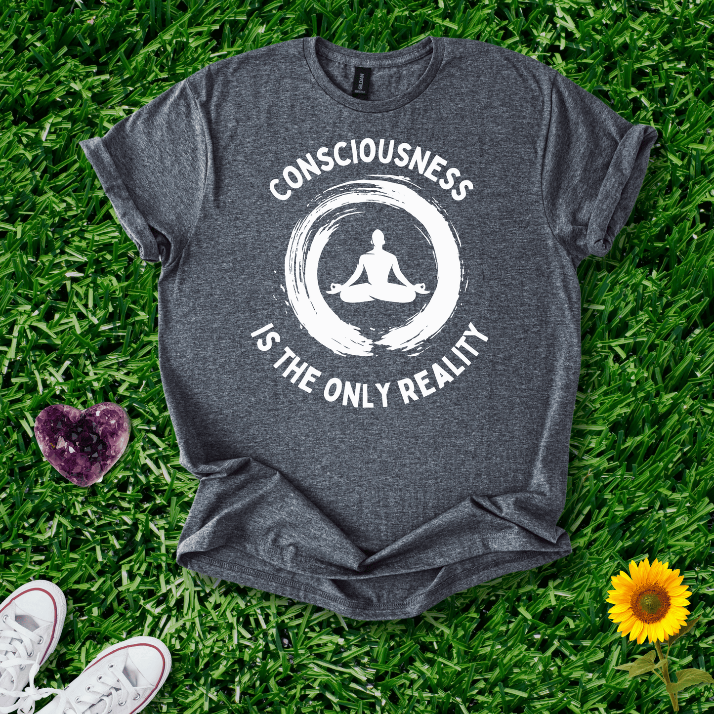 Consciousness is the Only Reality