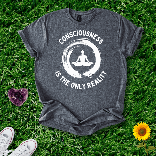 Consciousness is the Only Reality