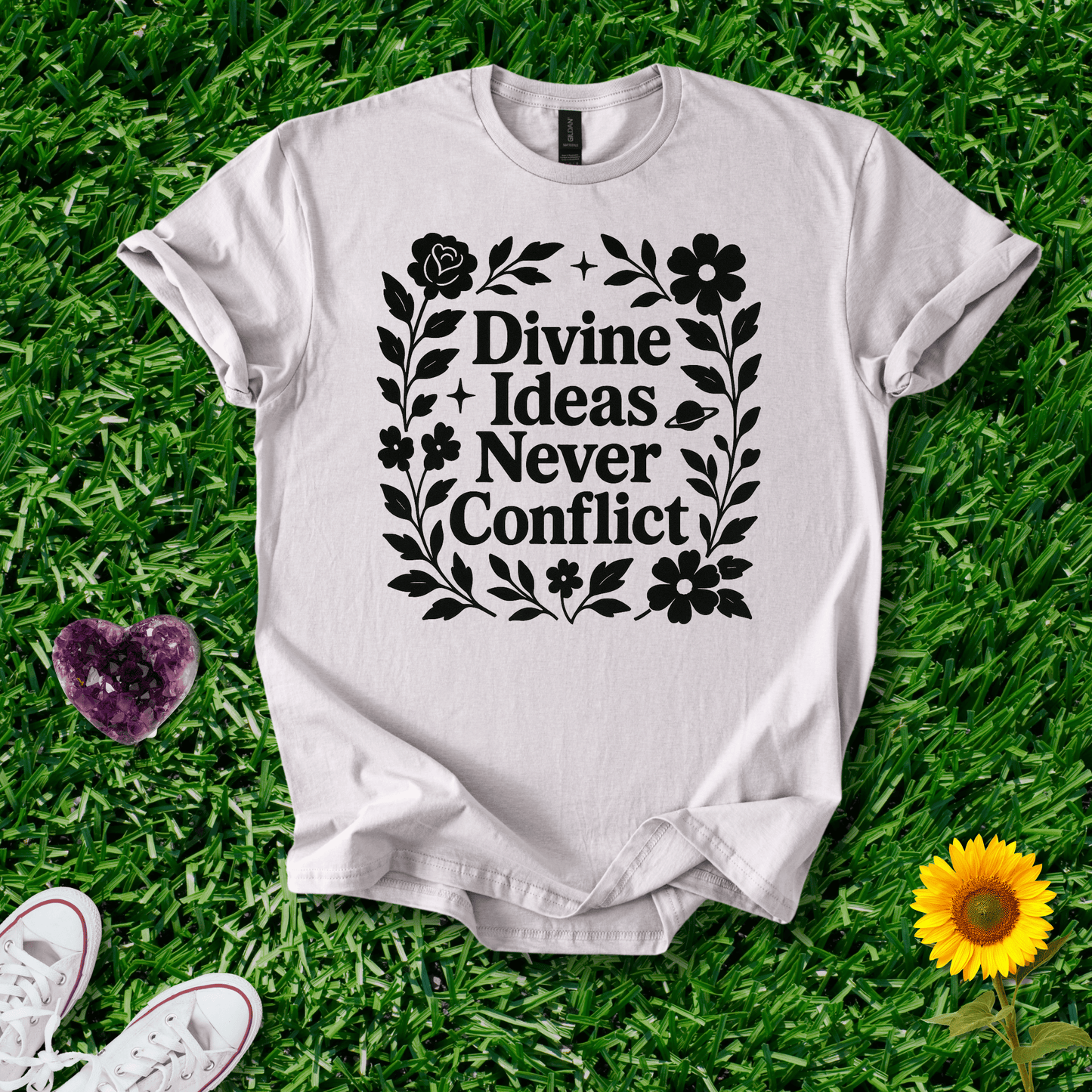Divine Ideas Never Conflict