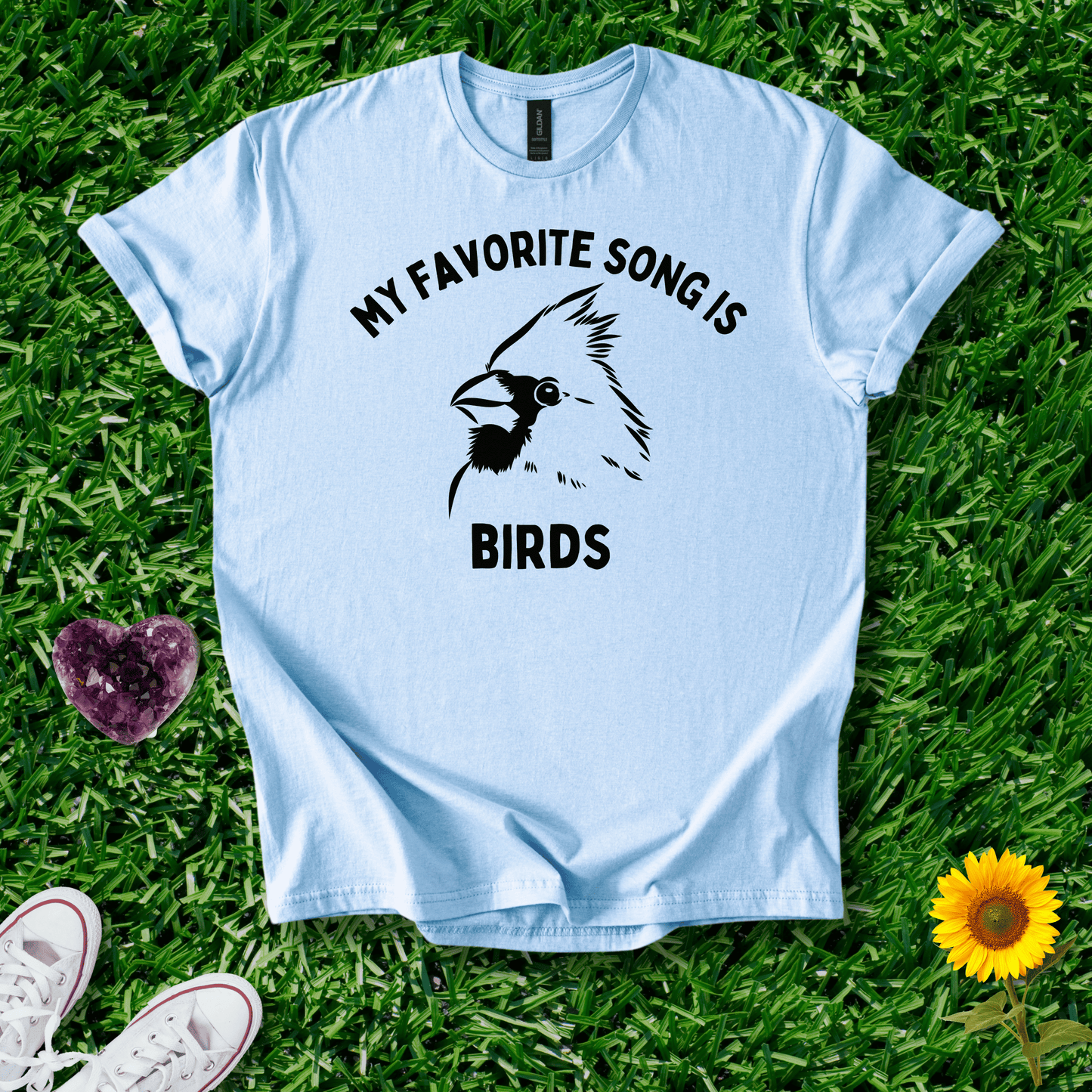 My Favorite Song Is BIRDS