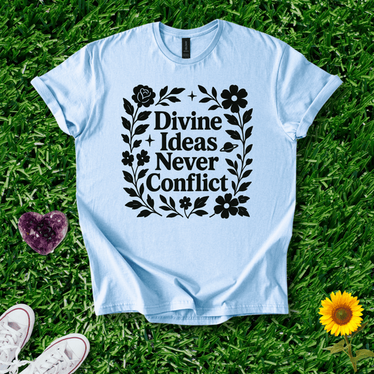 Divine Ideas Never Conflict