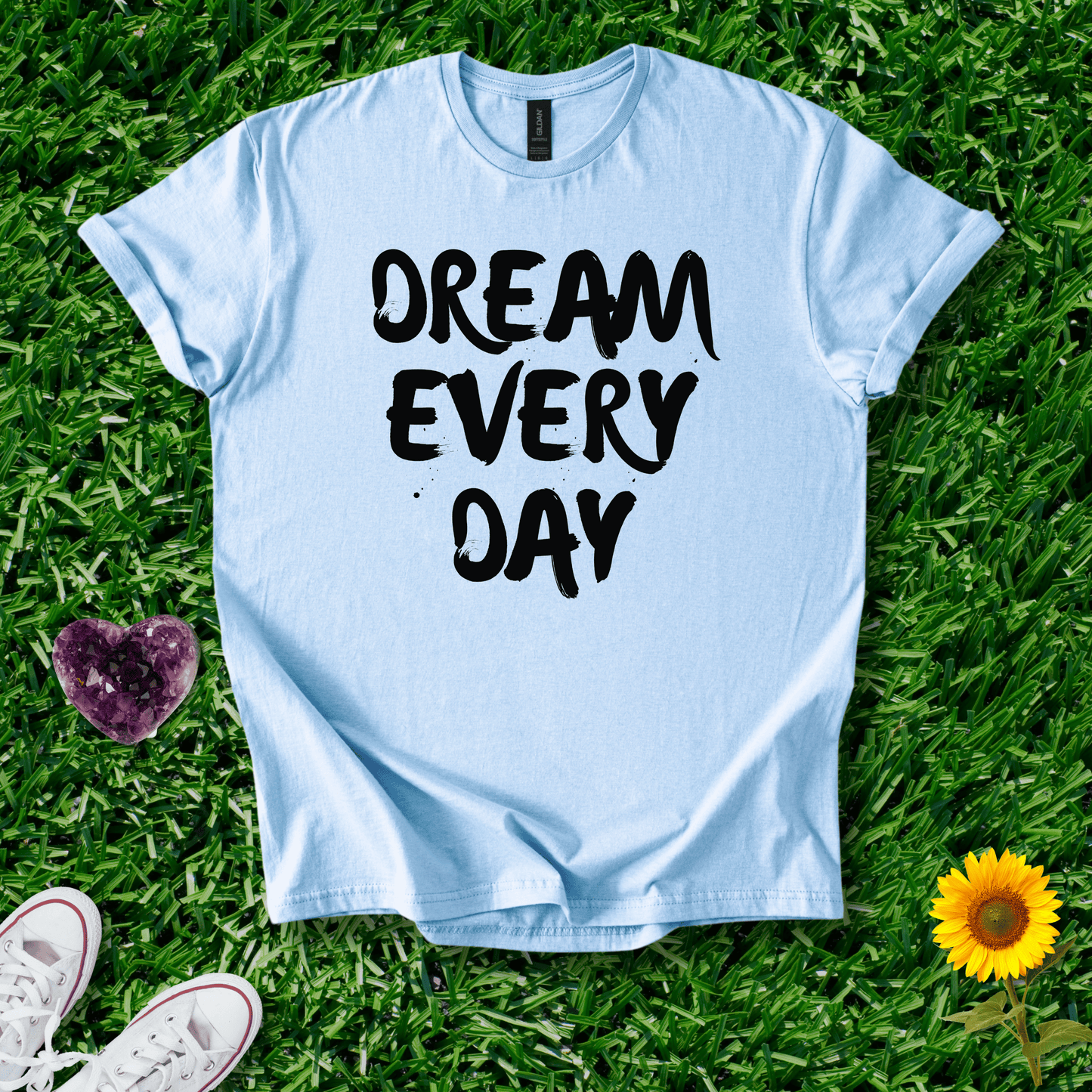 Dream Every Day