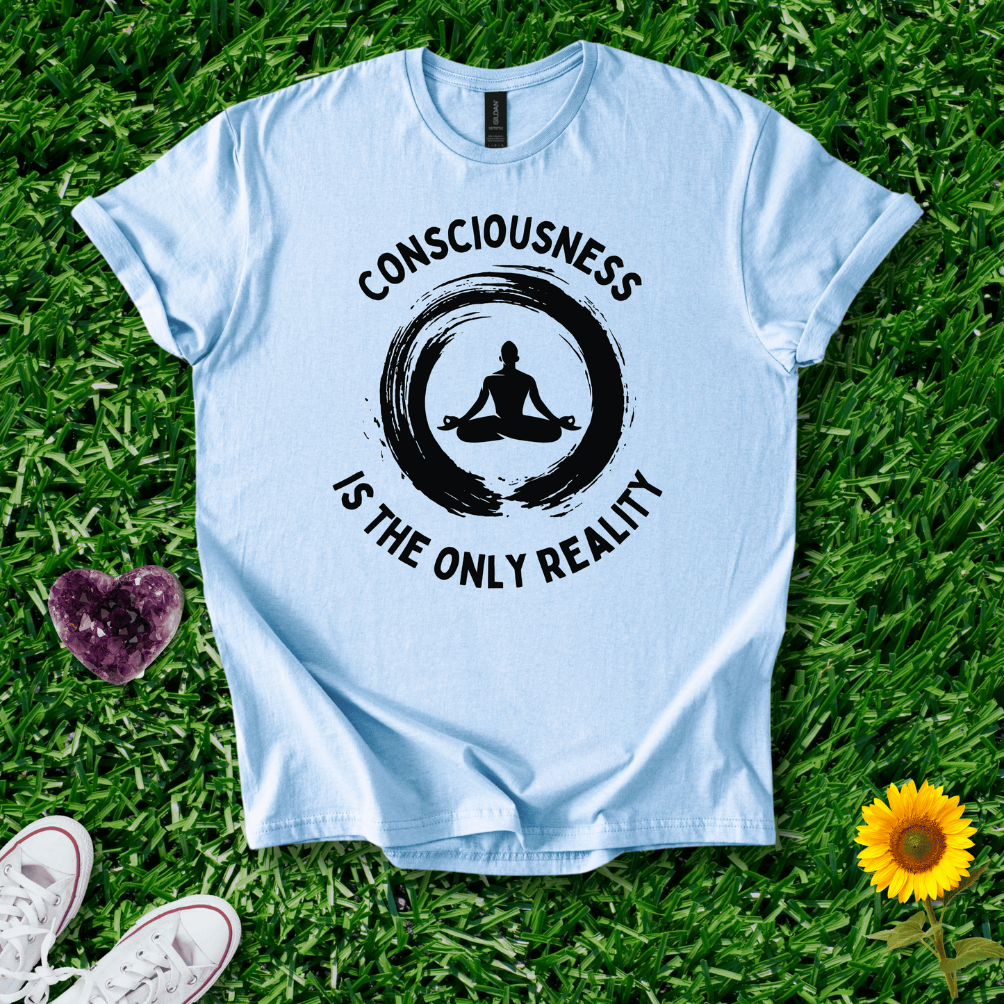 Consciousness is the Only Reality