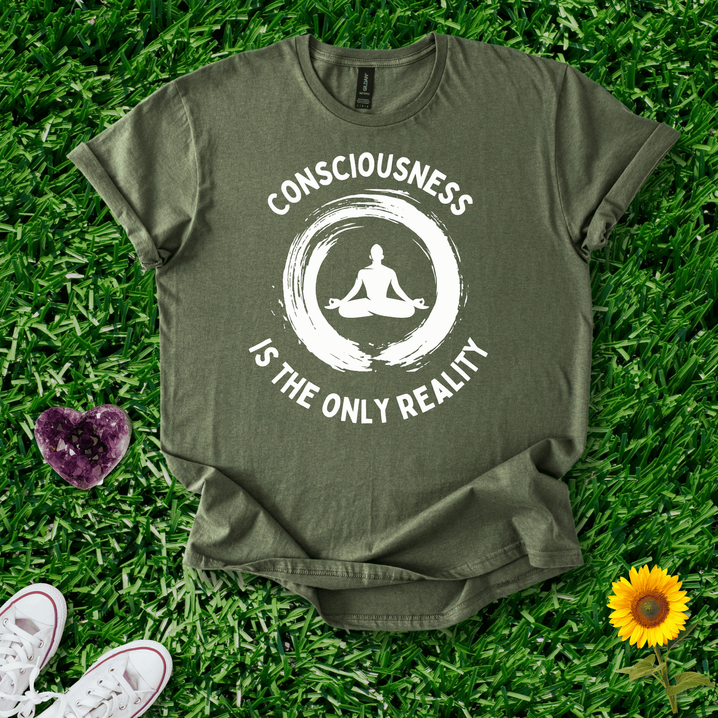 Consciousness is the Only Reality
