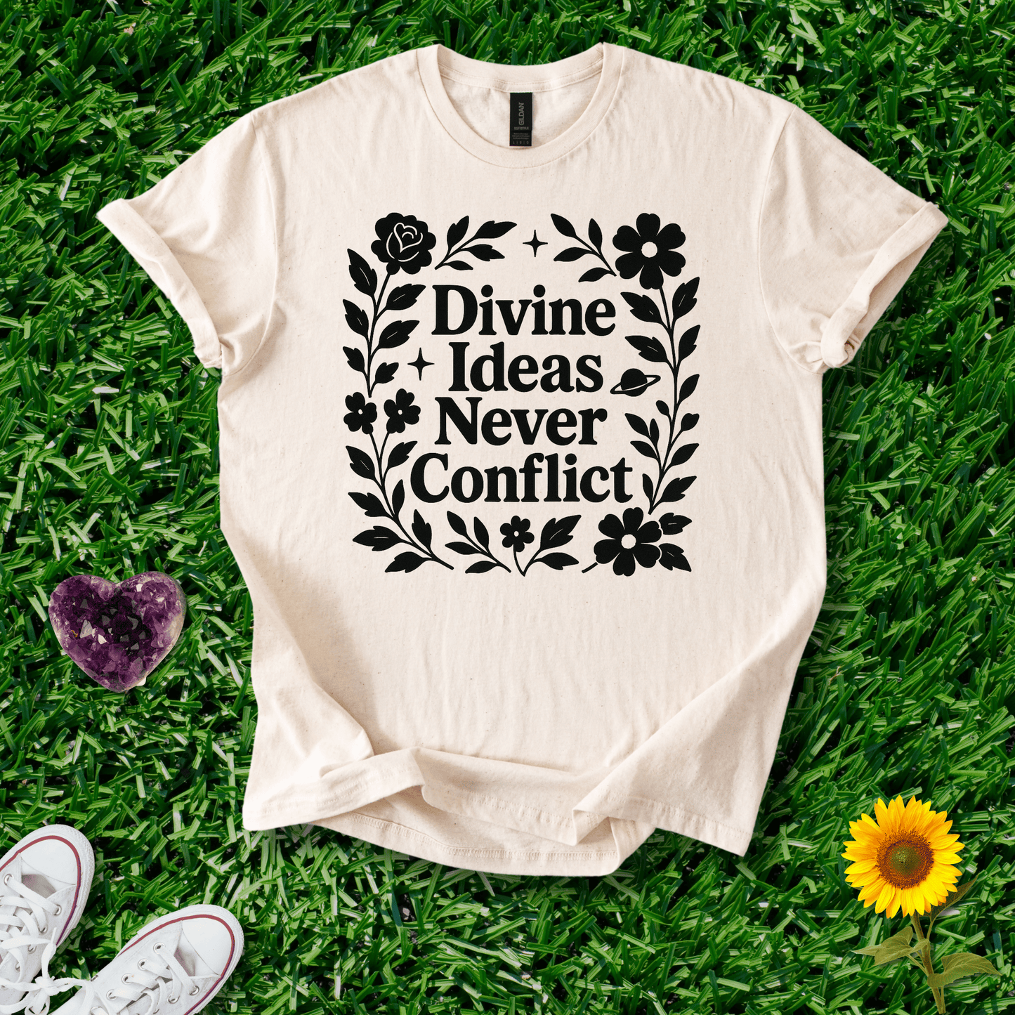 Divine Ideas Never Conflict