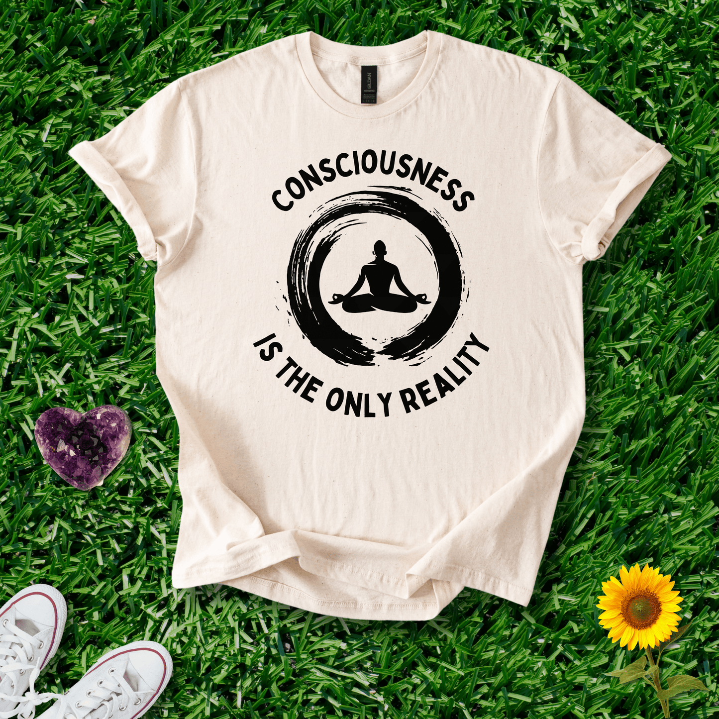 Consciousness is the Only Reality
