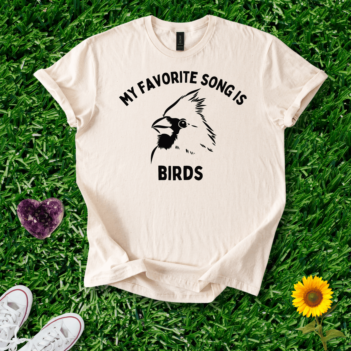 My Favorite Song Is BIRDS