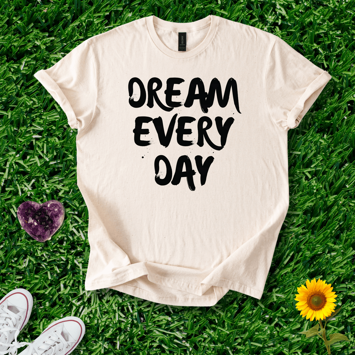 Dream Every Day