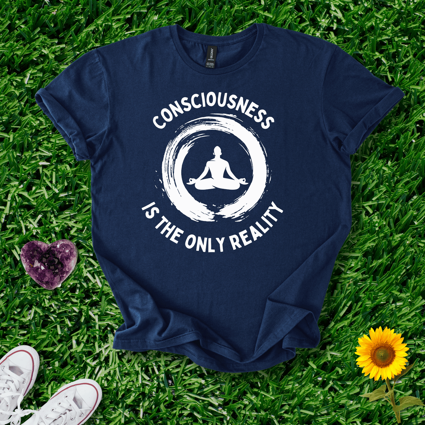 Consciousness is the Only Reality