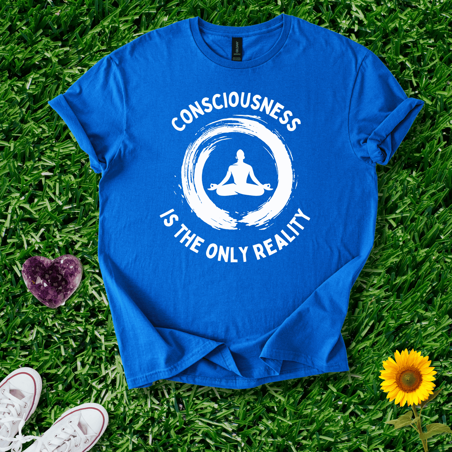 Consciousness is the Only Reality