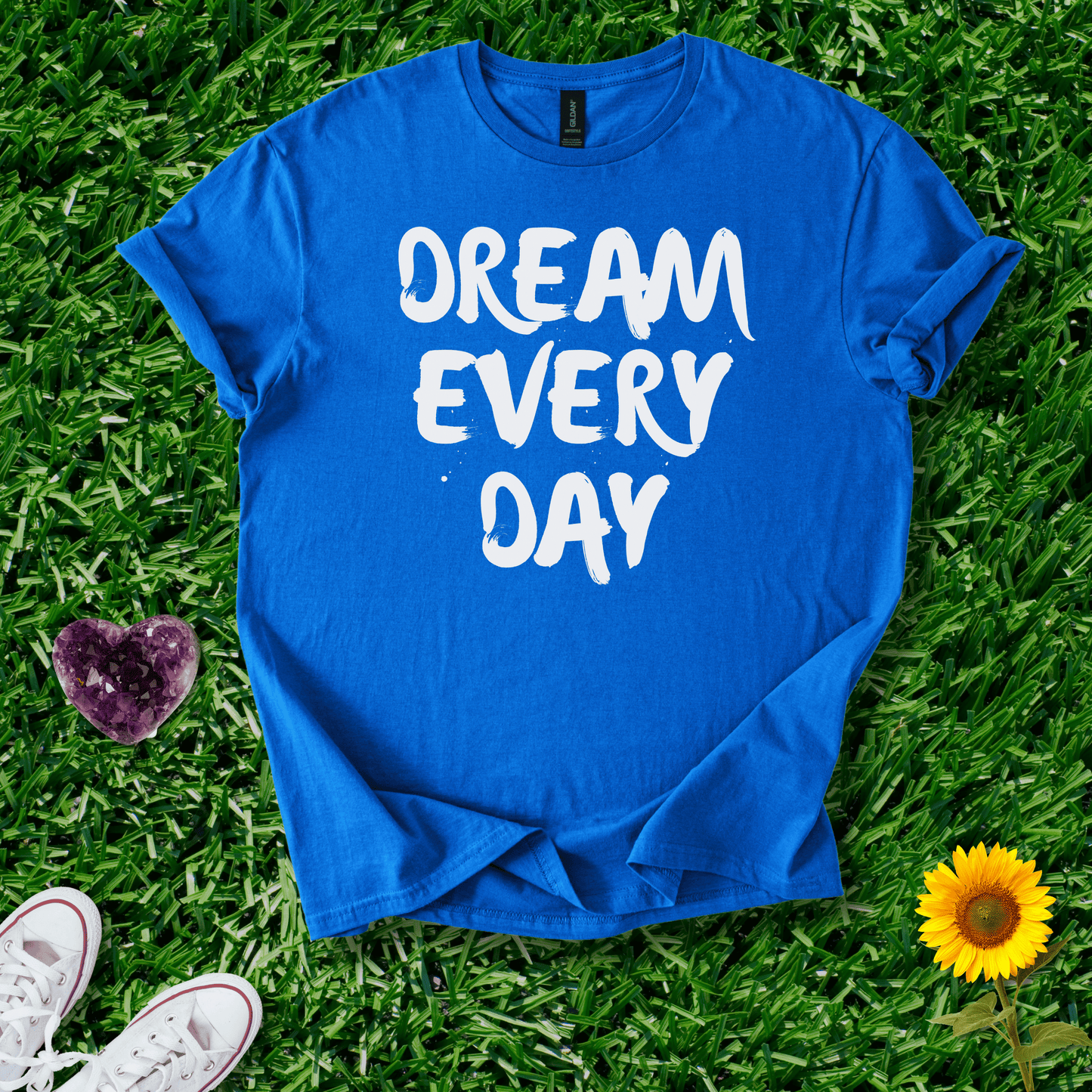 Dream Every Day