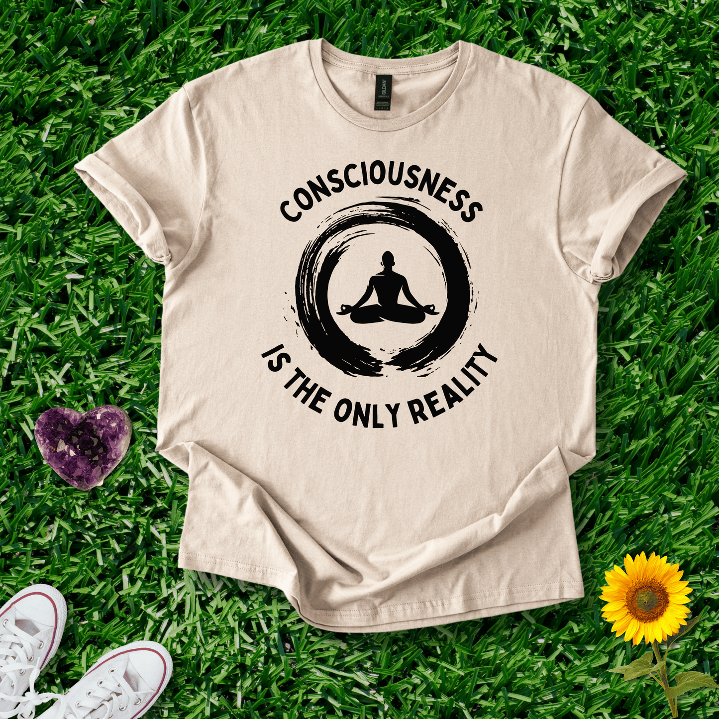 Consciousness is the Only Reality