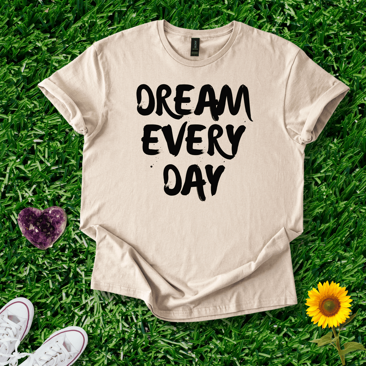 Dream Every Day