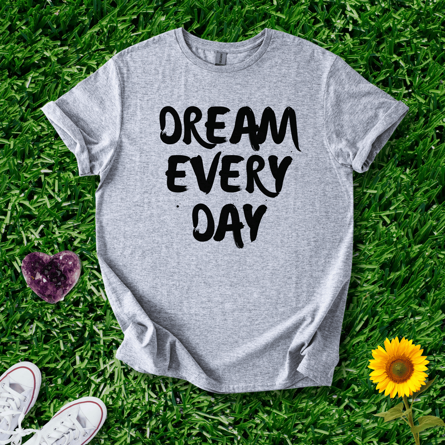 Dream Every Day