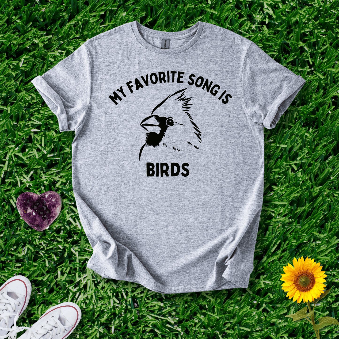My Favorite Song Is BIRDS