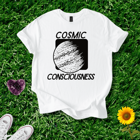 Cosmic Consciousness